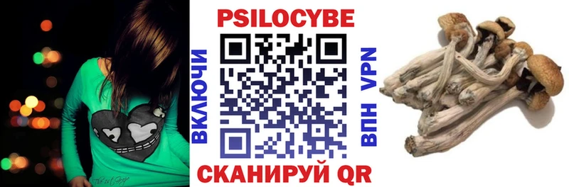 наркота  Бердск  Галлюциногенные грибы Cubensis 